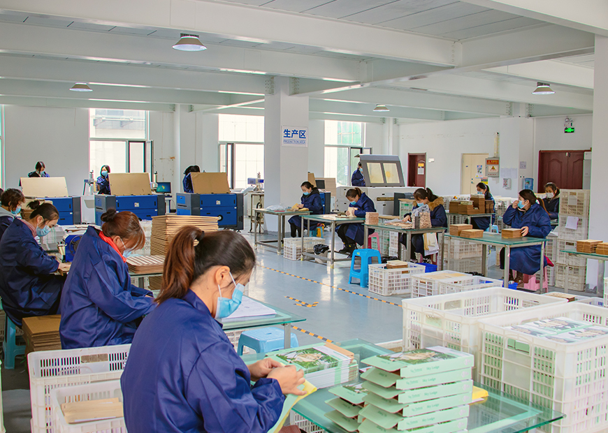 about Ocean Crafts